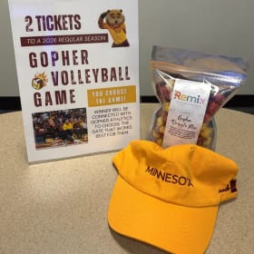 52 - Gopher Volleyball Game Pack item