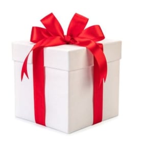 Mentor Gifts item
