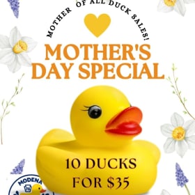 Photo of Mother's Day Flock Special
