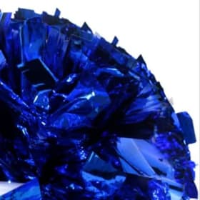 Navy Poms (JV & Varsity) item