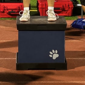 Cheerbox (if you don't have one) item
