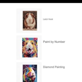 All Things Guinea Pig Craft Set item