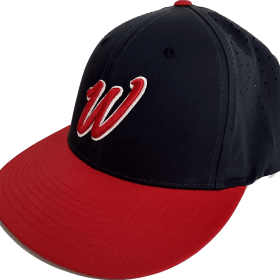 Winn Baseball Player Package item