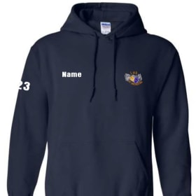 Embroidered Hoodie item