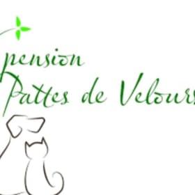 Forfait Pattes de velours. Valeur de 300$ item