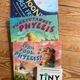Susanna Leonard Hill book bundle-older preschool/K-1 item