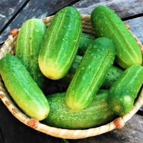 Pre-Packageed Fresh Farm Organic Cucumbers 2lbs item