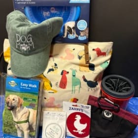 Doggie Day Out Hiking Basket item