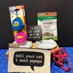 Kitty Basket #2 item