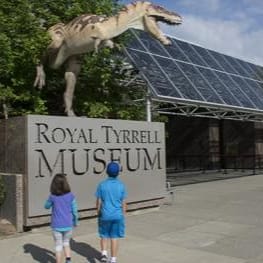 Family Pass to See Dinos item