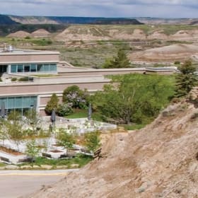 Family Pass to See Dinos item