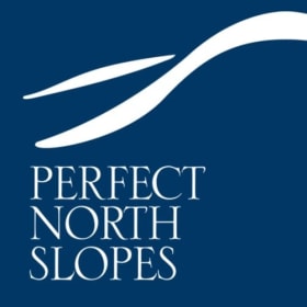 2 Single Day Passes to Perfect North Slopes item