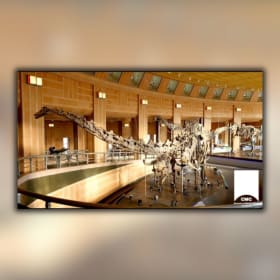 2 Single Day Admissions to the Cincinnati Museum Center item