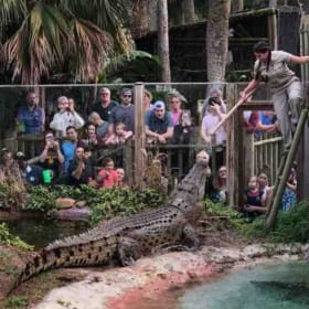 4 Tickets to The St. Augustine Alligator Farm item