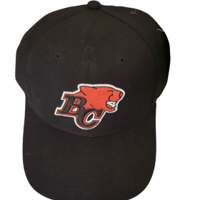 BC Lions Trucker Hat/Baseball Cap - Black item