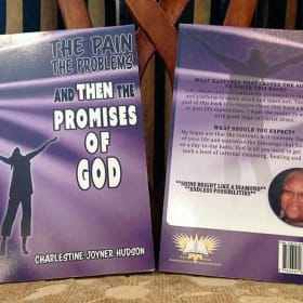 The Pain the Problems and then The Promises of God item
