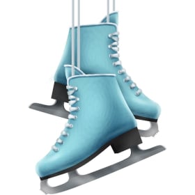 Ice Skating Lessons at Sherwood Ice Arena item