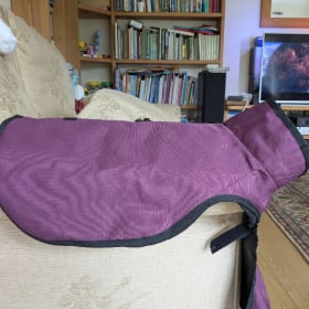 Waterproof staffy coat, purple item