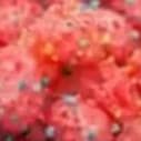 Berry Cosmic Clusters - (1.5oz) item