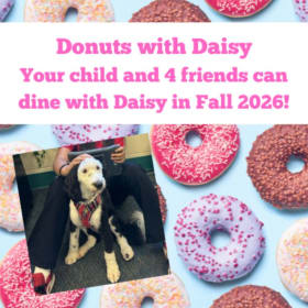 Donuts with Daisy item