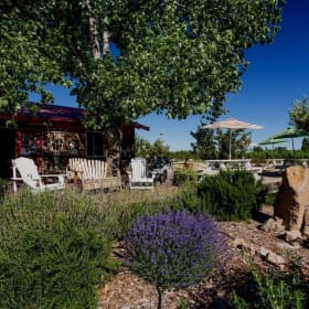 Volcan Mountain Winery - Wine Tasting, Bottle, and Glasses item