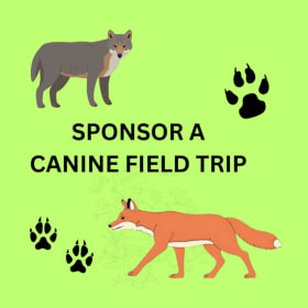 Sponsor a Canine Fieldtrip item