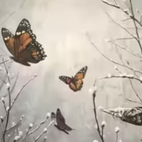 Gone With The Wind (And Habitat Loss) A Butterfly Mystery. item