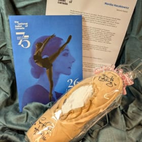 National Ballet of Canada Pointe Shoes item
