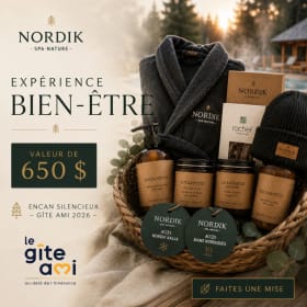 Expérience Bien-Être Nordik — 650 $ item