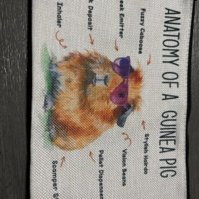 Ipsy Gift Subscription and Guinea Pig Bag item