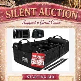 Photo of Car Organizer