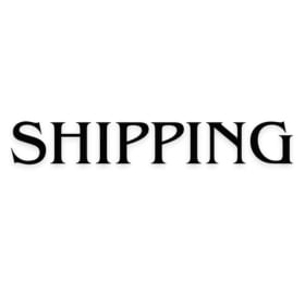SHIPPING ONE ITEM item