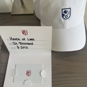 St. Bernard Sports $250 Gift Card & Ball Cap item