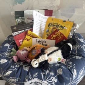 Hollywood Feed Dog Bed, Toys, & Treats Basket item