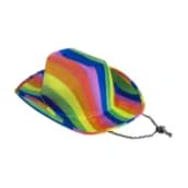 Rainbow cowboy hat item