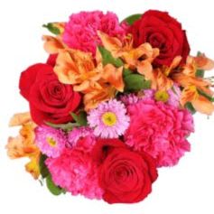 Showstopper Stems  - SATURDAY Pick-Up item