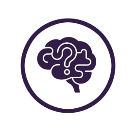 Brain Blitz (NEW) Sponsorship item