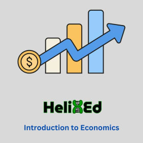 Intro to Micro/Macroeconomics (20% off for Group of 2+) item