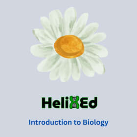 Intro to Biology item