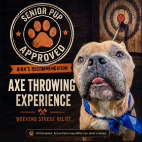 9) 1-Hour Axe Throwing Experience for Four item