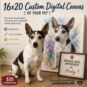 18) 16X20 Custom Digital Canvas of Your Pet item