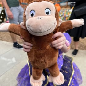 Teacher Catherine's Curious George item