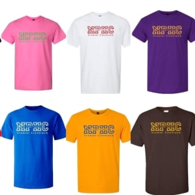 T-Shirts (Small - Large) item