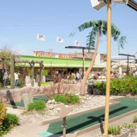 Family Fun - Laser Tag, Putt-Putt, Skating, and More! item