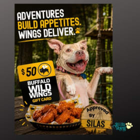 13) Tree Trekkers Adventure + Lunch @ Buffalo Wild Wings $50 item