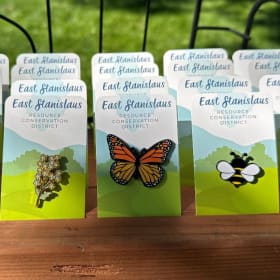 Pollinator Enamel Pin item