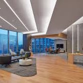 Large Law Firm Registration item