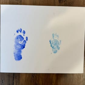 Photo of Racoon Paw Prints