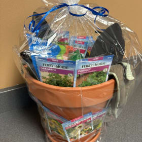 12. Terracotta Garden Starter Pack item