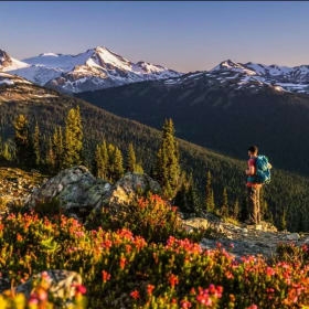 Whistler Blackcomb Summer Alpine Season Pass (RRP $165) item